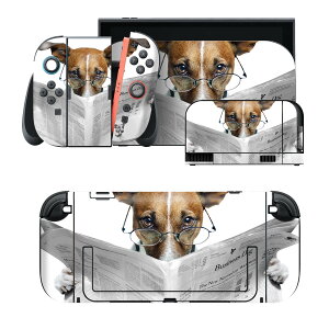 igsticker Nintendo Switch 2 �p �X�L���V�[�� �{�́E�h�b�N�EJoy-Con 2 �Ή� 4�ʃZ�b�g �������� �ی� �ʐ^�@���@���ʁ@�V�� 007706