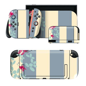 igsticker Nintendo Switch 2 �p �X�L���V�[�� �{�́E�h�b�N�EJoy-Con 2 �Ή� 4�ʃZ�b�g �������� �ی� �a���@�a���@�����@�X�g���C�v 008180