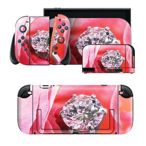 igsticker Nintendo Switch 2 �p �X�L���V�[�� �{�́E�h�b�N�EJoy-Con 2 �Ή� 4�ʃZ�b�g �������� �ی� �ʐ^�@�ԁ@�@�w�ց@�_�C�� 008706