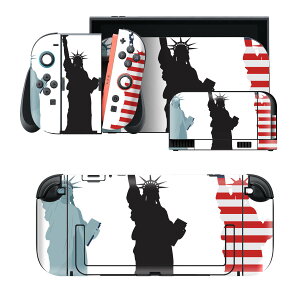 igsticker Nintendo Switch 2 �p �X�L���V�[�� �{�́E�h�b�N�EJoy-Con 2 �Ή� 4�ʃZ�b�g �������� �ی� ���i�@�O���@���� 009327