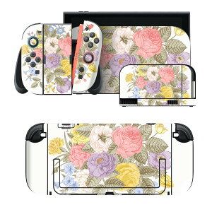 igsticker Nintendo Switch 2 �p �X�L���V�[�� �{�́E�h�b�N�EJoy-Con 2 �Ή� 4�ʃZ�b�g �������� �ی� �ԁ@�J���t�� 009378