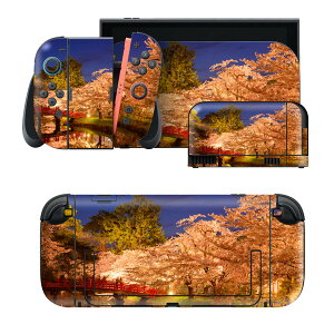 igsticker Nintendo Switch 2 �p �X�L���V�[�� �{�́E�h�b�N�EJoy-Con 2 �Ή� 4�ʃZ�b�g �������� �ی� ���@�ʐ^ 009515