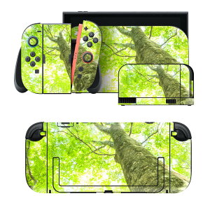 igsticker Nintendo Switch 2 �p �X�L���V�[�� �{�́E�h�b�N�EJoy-Con 2 �Ή� 4�ʃZ�b�g �������� �ی� �A���@�΁@�ʐ^ 009755