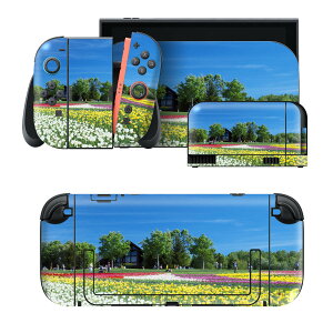 igsticker Nintendo Switch 2 �p �X�L���V�[�� �{�́E�h�b�N�EJoy-Con 2 �Ή� 4�ʃZ�b�g �������� �ی� �ԁ@�ʐ^ 009771
