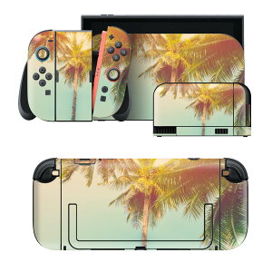 igsticker Nintendo Switch 2 �p �X�L���V�[�� �{�́E�h�b�N�EJoy-Con 2 �Ή� 4�ʃZ�b�g �������� �ی� ���V�̖؁@���i 010529