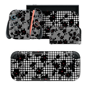 igsticker Nintendo Switch 2 �p �X�L���V�[�� �{�́E�h�b�N�EJoy-Con 2 �Ή� 4�ʃZ�b�g �������� �ی� �`�F�b�N�@�� 010630