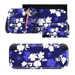 igsticker Nintendo Switch 2 �p �X�L���V�[�� �{�́E�h�b�N�EJoy-Con 2 �Ή� 4�ʃZ�b�g �������� �ی� �ԁ@�� 010631