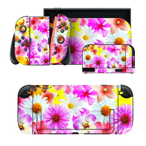 igsticker Nintendo Switch 2 �p �X�L���V�[�� �{�́E�h�b�N�EJoy-Con 2 �Ή� 4�ʃZ�b�g �������� �ی� �ԁ@�@�J���t�� 011115