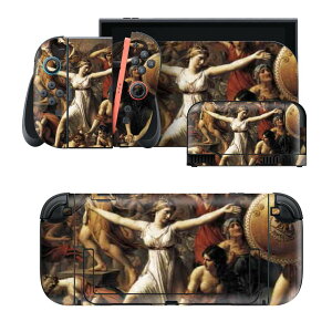 igsticker Nintendo Switch 2 �p �X�L���V�[�� �{�́E�h�b�N�EJoy-Con 2 �Ή� 4�ʃZ�b�g �������� �ی� �C���X�g�@�l���@�G�� 011465