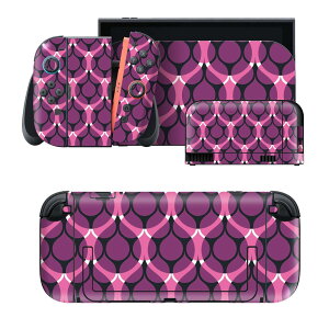 igsticker Nintendo Switch 2 �p �X�L���V�[�� �{�́E�h�b�N�EJoy-Con 2 �Ή� 4�ʃZ�b�g �������� �ی� �͗l�@���@�V���v�� 011730