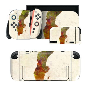 igsticker Nintendo Switch 2 �p �X�L���V�[�� �{�́E�h�b�N�EJoy-Con 2 �Ή� 4�ʃZ�b�g �������� �ی� �X�E�F�[�f���@�O���@�n�} 011769