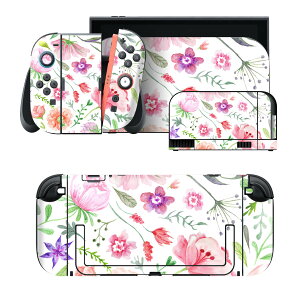 igsticker Nintendo Switch 2 �p �X�L���V�[�� �{�́E�h�b�N�EJoy-Con 2 �Ή� 4�ʃZ�b�g �������� �ی� �ԕ��@�͗l�@���킢�� 011884