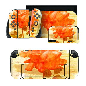 igsticker Nintendo Switch 2 �p �X�L���V�[�� �{�́E�h�b�N�EJoy-Con 2 �Ή� 4�ʃZ�b�g �������� �ی� �ԁ@�p���@�� 011893