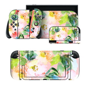 igsticker Nintendo Switch 2 �p �X�L���V�[�� �{�́E�h�b�N�EJoy-Con 2 �Ή� 4�ʃZ�b�g �������� �ی� �ԁ@�A���@�p�X�e�� 012057