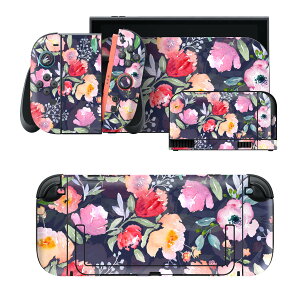 igsticker Nintendo Switch 2 �p �X�L���V�[�� �{�́E�h�b�N�EJoy-Con 2 �Ή� 4�ʃZ�b�g �������� �ی� �ԁ@�A���@�ԕ� 012160