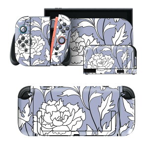 igsticker Nintendo Switch 2 �p �X�L���V�[�� �{�́E�h�b�N�EJoy-Con 2 �Ή� 4�ʃZ�b�g �������� �ی� �ԁ@�A���@�C���X�g 012180
