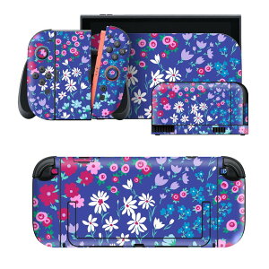 igsticker Nintendo Switch 2 �p �X�L���V�[�� �{�́E�h�b�N�EJoy-Con 2 �Ή� 4�ʃZ�b�g �������� �ی� �ԁ@�ԕ��@�� 012226