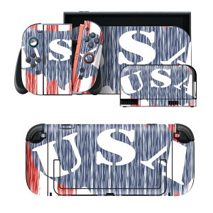 igsticker Nintendo Switch 2 �p �X�L���V�[�� �{�́E�h�b�N�EJoy-Con 2 �Ή� 4�ʃZ�b�g �������� �ی� �A�����J�@�X�g���C�v�@���S 012363