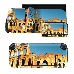 igsticker Nintendo Switch 2 �p �X�L���V�[�� �{�́E�h�b�N�EJoy-Con 2 �Ή� 4�ʃZ�b�g �������� �ی� �ʐ^�@�����@�i�F 012829