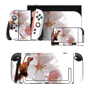 igsticker Nintendo Switch 2 �p �X�L���V�[�� �{�́E�h�b�N�EJoy-Con 2 �Ή� 4�ʃZ�b�g �������� �ی� ���@�ԁ@�t 012849
