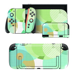 igsticker Nintendo Switch 2 �p �X�L���V�[�� �{�́E�h�b�N�EJoy-Con 2 �Ή� 4�ʃZ�b�g �������� �ی� ���ʁ@���_�@�h�b�g 012947