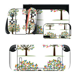 igsticker Nintendo Switch 2 �p �X�L���V�[�� �{�́E�h�b�N�EJoy-Con 2 �Ή� 4�ʃZ�b�g �������� �ی� �؁@�J���t���@�A�� 013404