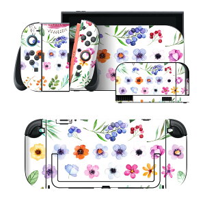 igsticker Nintendo Switch 2 �p �X�L���V�[�� �{�́E�h�b�N�EJoy-Con 2 �Ή� 4�ʃZ�b�g �������� �ی� �ԁ@�t�@�A���@�p�X�e�� 013461