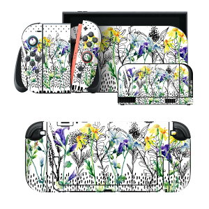 igsticker Nintendo Switch 2 �p �X�L���V�[�� �{�́E�h�b�N�EJoy-Con 2 �Ή� 4�ʃZ�b�g �������� �ی� �ԁ@�@���� 014047