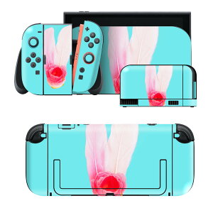 igsticker Nintendo Switch 2 �p �X�L���V�[�� �{�́E�h�b�N�EJoy-Con 2 �Ή� 4�ʃZ�b�g �������� �ی� �ԁ@�s���N 014056