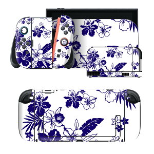 igsticker Nintendo Switch 2 �p �X�L���V�[�� �{�́E�h�b�N�EJoy-Con 2 �Ή� 4�ʃZ�b�g �������� �ی� �n�C�r�X�J�X�@�ԁ@���[�t 014103