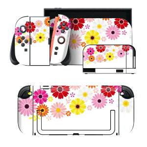 igsticker Nintendo Switch 2 �p �X�L���V�[�� �{�́E�h�b�N�EJoy-Con 2 �Ή� 4�ʃZ�b�g �������� �ی� �ԁ@�@�J���t�� 014188