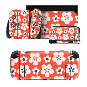 igsticker Nintendo Switch 2 �p �X�L���V�[�� �{�́E�h�b�N�EJoy-Con 2 �Ή� 4�ʃZ�b�g �������� �ی� ���ԕ��@�ԁ@���g�� 014535