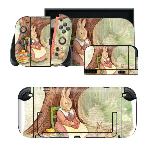 igsticker Nintendo Switch 2 �p �X�L���V�[�� �{�́E�h�b�N�EJoy-Con 2 �Ή� 4�ʃZ�b�g �������� �ی� �������@�����@�A�j�}�� 014719
