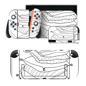 igsticker Nintendo Switch 2 �p �X�L���V�[�� �{�́E�h�b�N�EJoy-Con 2 �Ή� 4�ʃZ�b�g �������� �ی� ���z�c�@�܂��� 015865