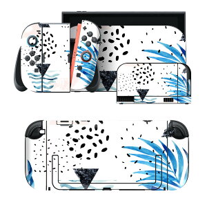igsticker Nintendo Switch 2 �p �X�L���V�[�� �{�́E�h�b�N�EJoy-Con 2 �Ή� 4�ʃZ�b�g �������� �ی� �͗l�@�ā@summer 015974
