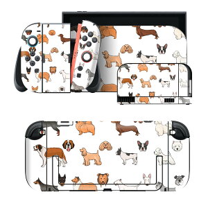 igsticker Nintendo Switch 2 �p �X�L���V�[�� �{�́E�h�b�N�EJoy-Con 2 �Ή� 4�ʃZ�b�g �������� �ی� ���@�����@�C���X�g 016113