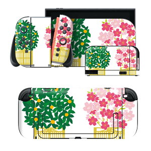 igsticker Nintendo Switch 2 �p �X�L���V�[�� �{�́E�h�b�N�EJoy-Con 2 �Ή� 4�ʃZ�b�g �������� �ی� �A���@�a�� 016202