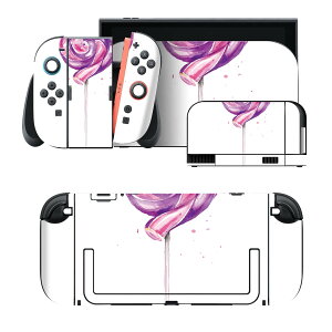 igsticker Nintendo Switch 2 �p �X�L���V�[�� �{�́E�h�b�N�EJoy-Con 2 �Ή� 4�ʃZ�b�g �������� �ی� �؂�؂�L�����f�B�@�� 017767