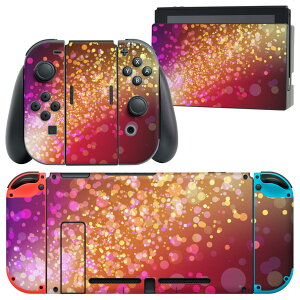 igsticker Nintendo Switch p fUCXLV[ CV jeh[ XCb` p {̃hbN Joy-Con Joycon WCR p Q[@ Jo[ ANZT[ tB XebJ[ 002284 Jt