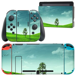 igsticker Nintendo Switch p fUCXLV[ CV jeh[ XCb` p {̃hbN Joy-Con Joycon WCR p Q[@ Jo[ ANZT[ tB XebJ[ 002526 iF@