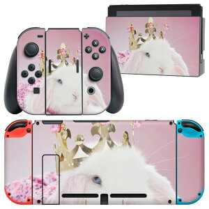 igsticker Nintendo Switch p fUCXLV[ CV jeh[ XCb` p {̃hbN Joy-Con Joycon WCR p Q[@ Jo[ ANZT[ tB XebJ[ 002570 @