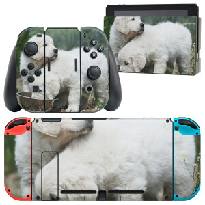igsticker Nintendo Switch p fUCXLV[ CV jeh[ XCb` p {̃hbN Joy-Con Joycon WCR p Q[@ Jo[ ANZT[ tB XebJ[ 002577