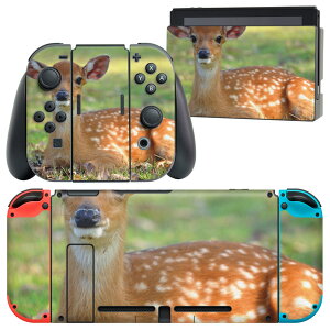 igsticker Nintendo Switch p fUCXLV[ CV jeh[ XCb` p {̃hbN Joy-Con Joycon WCR p Q[@ Jo[ ANZT[ tB XebJ[ 002579 @