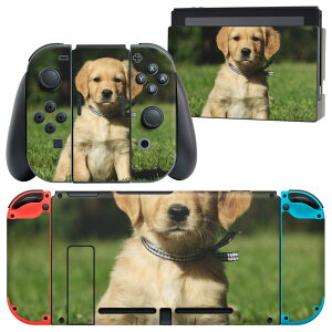 igsticker Nintendo Switch p fUCXLV[ CV jeh[ XCb` p {̃hbN Joy-Con Joycon WCR p Q[@ Jo[ ANZT[ tB XebJ[ 002580 @