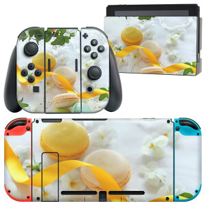 igsticker Nintendo Switch p fUCXLV[ CV jeh[ XCb` p {̃hbN Joy-Con Joycon WCR p Q[@ Jo[ ANZT[ tB XebJ[ 002617 }J