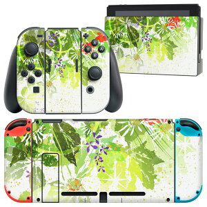 igsticker Nintendo Switch p fUCXLV[ CV jeh[ XCb` p {̃hbN Joy-Con Joycon WCR p Q[@ Jo[ ANZT[ tB XebJ[ 002635 ԁ@@C