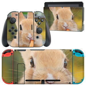 igsticker Nintendo Switch p fUCXLV[ CV jeh[ XCb` p {̃hbN Joy-Con Joycon WCR p Q[@ Jo[ ANZT[ tB XebJ[ 002807 @