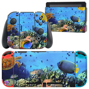 igsticker Nintendo Switch p fUCXLV[ CV jeh[ XCb` p {̃hbN Joy-Con Joycon WCR p Q[@ Jo[ ANZT[ tB XebJ[ 002823 C@ʐ^