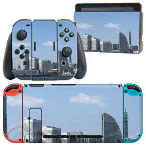 igsticker Nintendo Switch p fUCXLV[ CV jeh[ XCb` p {̃hbN Joy-Con Joycon WCR p Q[@ Jo[ ANZT[ tB XebJ[ 003197 ʐ^@i