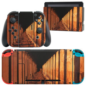 igsticker Nintendo Switch p fUCXLV[ CV jeh[ XCb` p {̃hbN Joy-Con Joycon WCR p Q[@ Jo[ ANZT[ tB XebJ[ 003270 O@